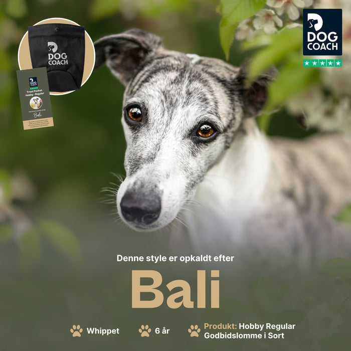 DogCoach Godbidslomme | Hobby | Regular | Sort | Bali