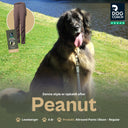 Allround bukser | Normal længde | Bison | Peanut