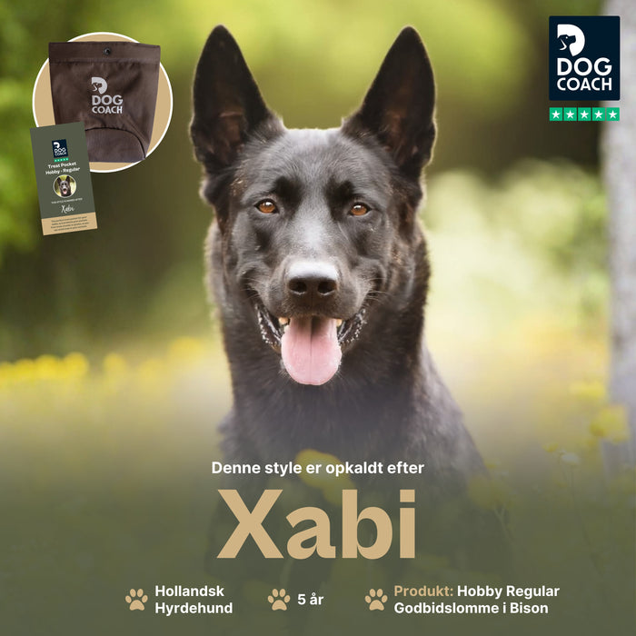 DogCoach Godbidslomme | Hobby | Regular | Bison | Xabi