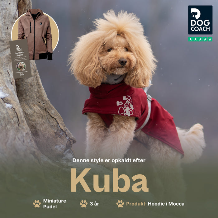 Hundelufter Hoodie 2.0 | Unisex  | Mocca | Kuba