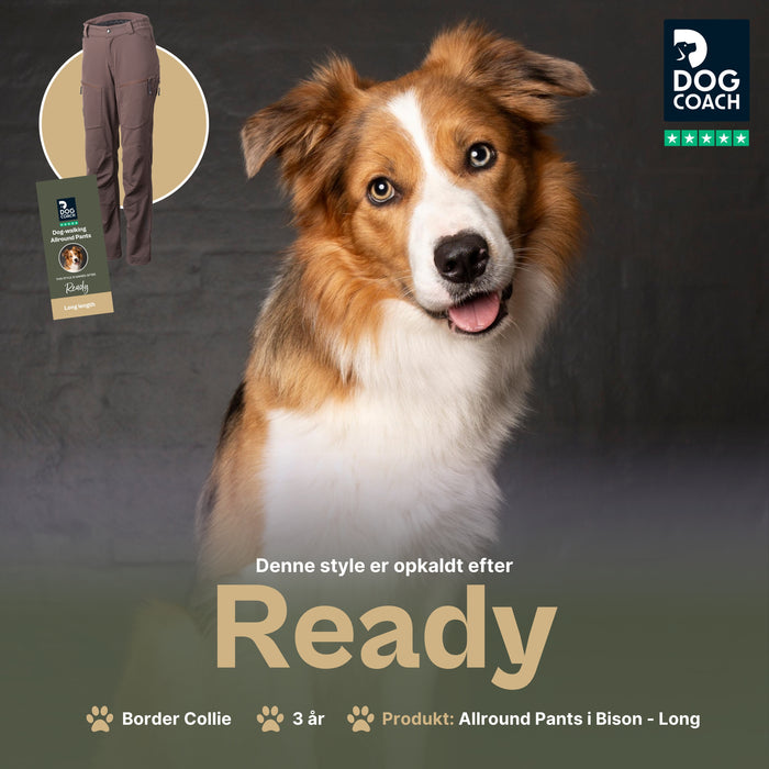 Allround bukser | Ekstra længde | Bison | Ready