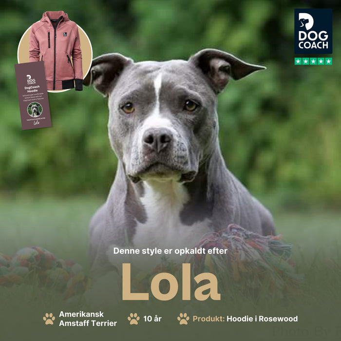 Hundelufter Hoodie 2.0 | Unisex | Rosewood | Lola