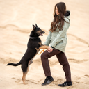 Unisex 2-in-1 Zip-Off Skalbukser I Bison I Kort længde I Leia