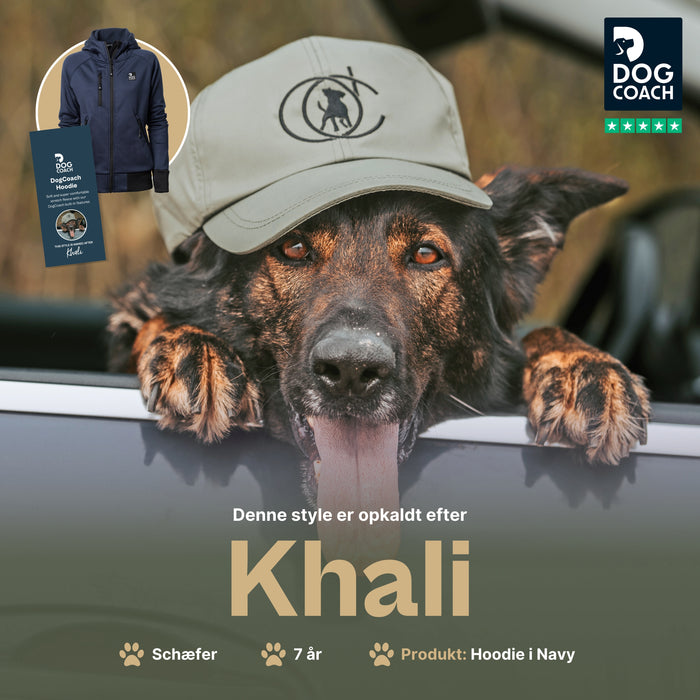 Hundelufter Hoodie 2.0 | Unisex | Navy | Khali