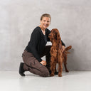 Dog Walker Allround Hose | Long | Bison | Ready