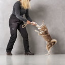 Dog Walker Allround Pants | Black | Short | Aisir