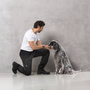 Dog Walker Allround Pants | Black | Short | Aisir