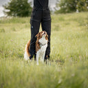 Dog Walker Allround Pants | Black | Short | Aisir