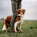 FeelFree Dog Walker Tights | Beetle | Dakota