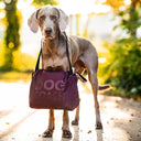 KeepDry 2.0 | Rosso | Malika