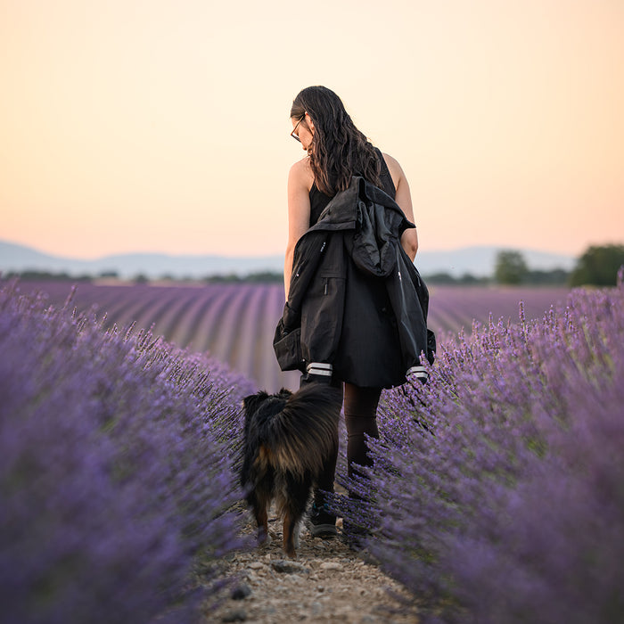 Pack&Carry Skaljakke | Sort | Amie