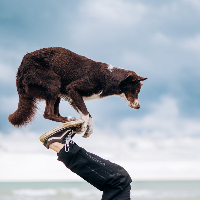 Allround bukser | Ekstra længde | Sort | Viggo