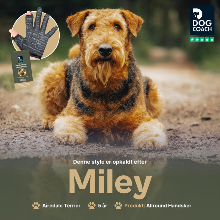 DogCoach Allround Godbidshandsker | Unisex | Sort | Miley