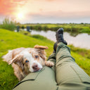 Hundelufterbukser 2.0 | Vinter | Beetle | Regular | CatchMe