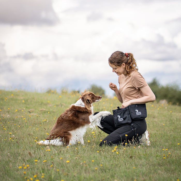 DogCoach Godbidslomme | Elite | XL | Sort | Perro