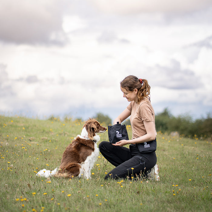 DogCoach Godbidslomme | Elite | XL | Sort | Perro