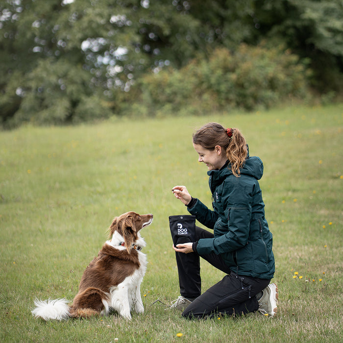 DogCoach Godbidslomme | Hobby | Regular | Bison | Xabi