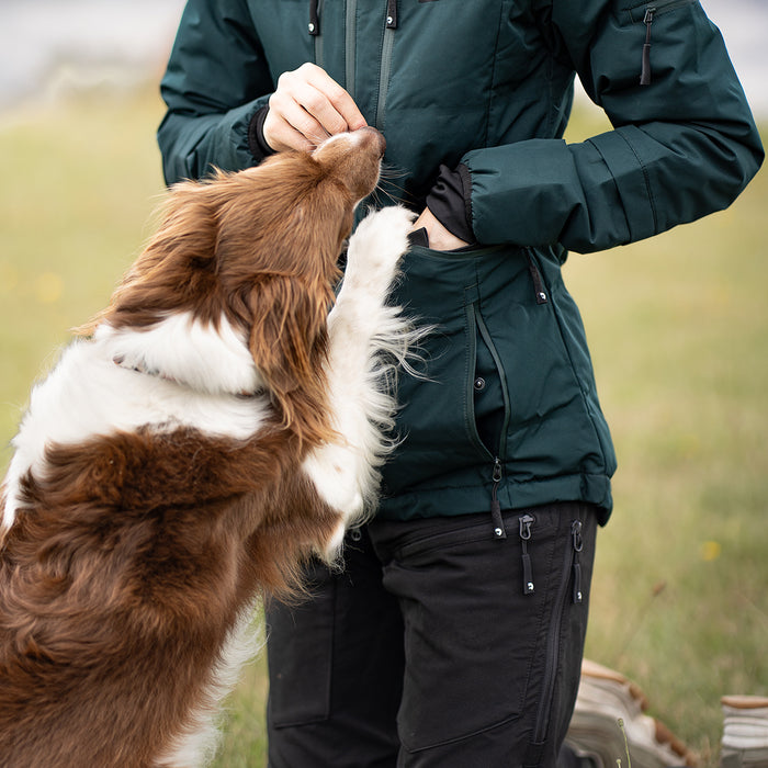 DogCoach Godbidslomme | Elite | Regular | Bison | Natz