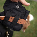 DogCoach Treat Pocket | Elite | Regular | Bison | Natz