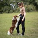 DogCoach Leckerlibeutel | Hobby | XL | Schwarz | Sisu