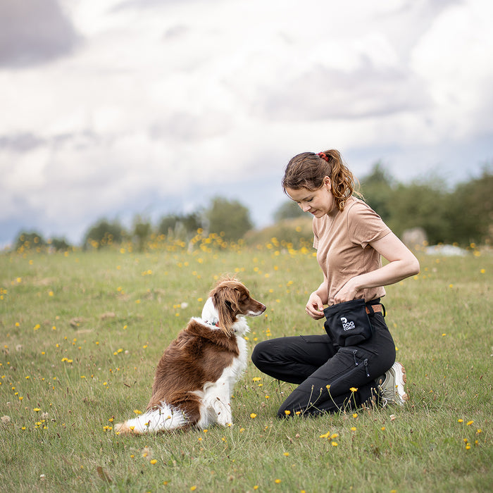 DogCoach Godbidslomme | Hobby | XL | Bison | Archie