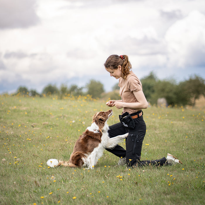 DogCoach Godbidslomme | Elite | Regular | Sort | Guinness