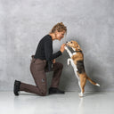 Winter Pants 2.0 | Regular | Bison | Hiro