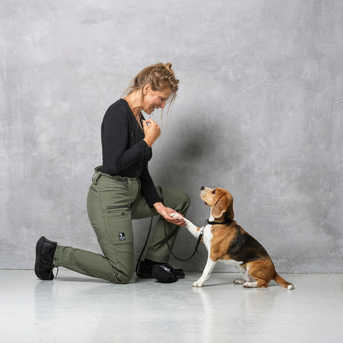 Hundelufterbukser 2.0 | Vinter | Beetle | Short | Jax