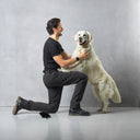 Dog Walker Hose | Winter | Short | Dexter