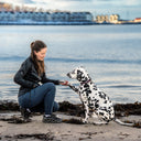 FeelFree Dog Walker Tights 2.0 I Navy I Tessa