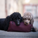 Pack&Carry Shell Jacket 2.0 | Rosso | Merry