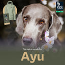 Pack&Carry Shell Jacket 2.0 | Leaf | Ayu