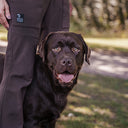 Winter Pants 2.0 | Short | Bison | Reynard