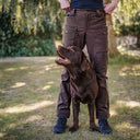 Winter Pants 2.0 | Short | Bison | Reynard