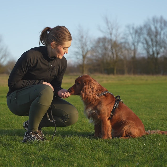 FeelFree Dog Walker Tights | Sort | Ruby