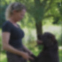 Hundelufterbukser 2.0 | Vinter | Beetle | Short | Jax
