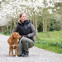 Padded Dog Walker Vest | Black | Obelix