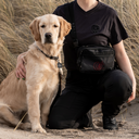 Belt Bag | Burgundy | Marley