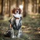 Gepolsterte Dog Walker Weste | Beetle | Hyben
