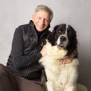 Padded Dog Walker Vest | Black | Obelix