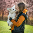 Padded Dog Walker Vest | Black | Obelix